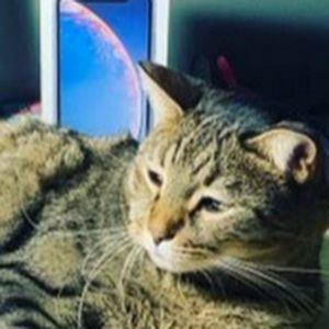 Meet your Posher, Benders